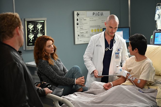 Grey's Anatomy - Every Day Is a Holiday (With You) - Photos - Abigail Spencer, Richard Flood