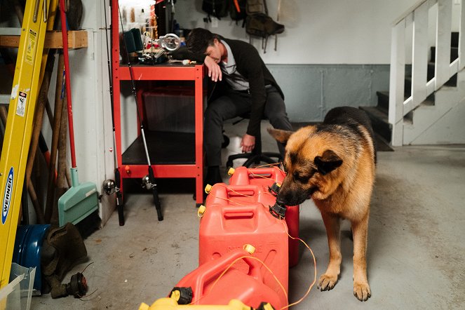 Rex Kanadában - Búvárkaland - Filmfotók - Diesel vom Burgimwald a kutya