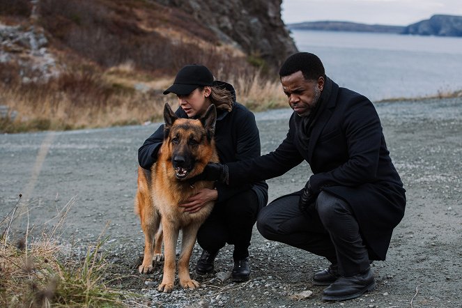 Rex Kanadában - A legjobb kutya - Filmfotók - Diesel vom Burgimwald a kutya, Mayko Nguyen, Kevin Hanchard