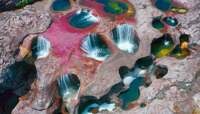 Phänomenale Natur - Cano Cristales - Der Regenbogen-Fluss - Filmfotos