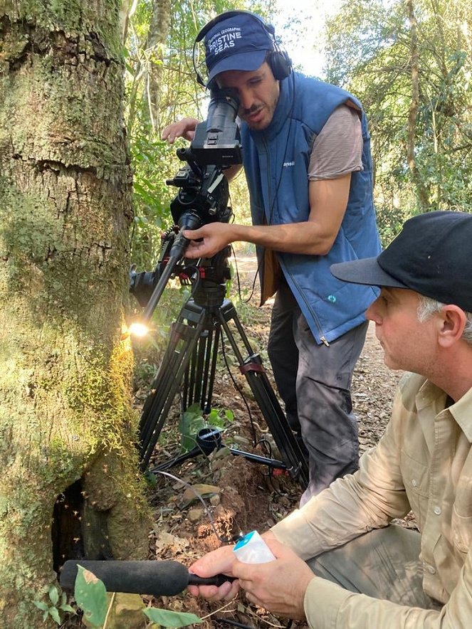 Phänomenale Natur - Die Iguazu-Wasserfälle - Ein ökologischer Schatz - Dreharbeiten