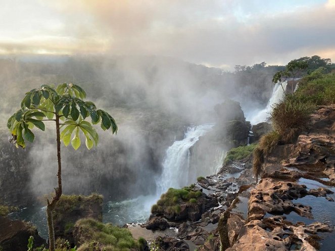 Poslední přírodní ráje - Vodopády Iguaçu - pokladnice biodiverzity - Z natáčení