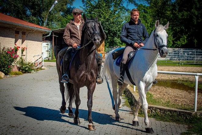 Českem na koňském hřbetu - Po stopách genů - Filmfotos