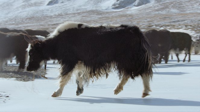 Tibet: Střecha světa - Z filmu