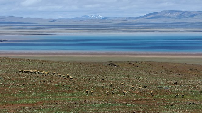 Tibet: Střecha světa - Z filmu