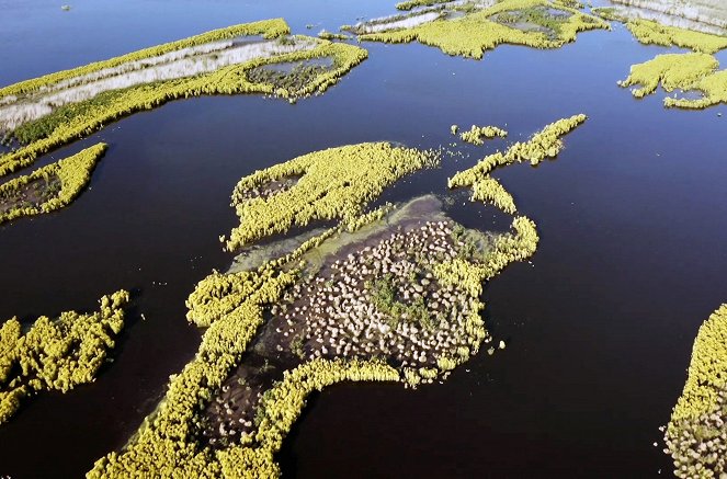 Das Land der tausend Seen - Die Mecklenburgische Seenplatte - Photos