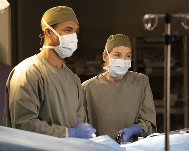 Chirurgové - Dnes to byla pohádka - Z filmu - Ellen Pompeo
