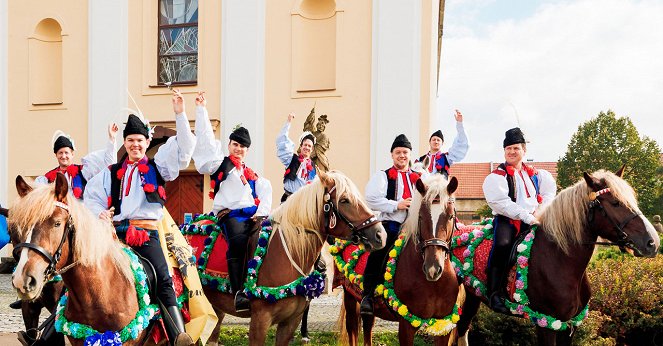 Českem na koňském hřbetu - S Jasánkem na tahu - Photos