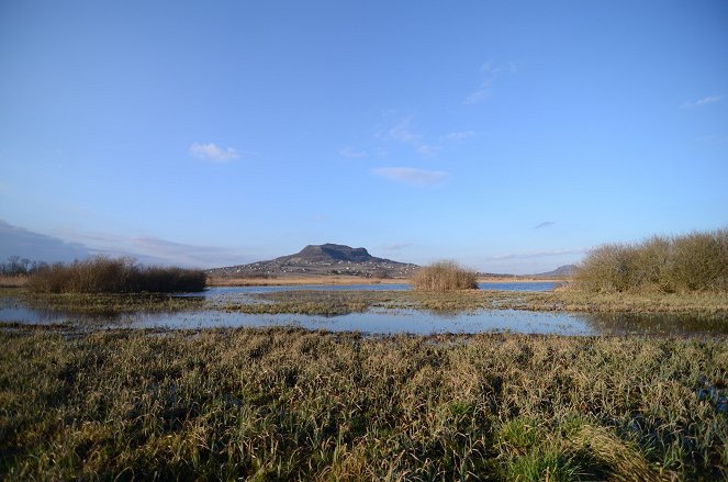 Terra Mater: Der Plattensee - Ungarns Wasserwildnis - Do filme