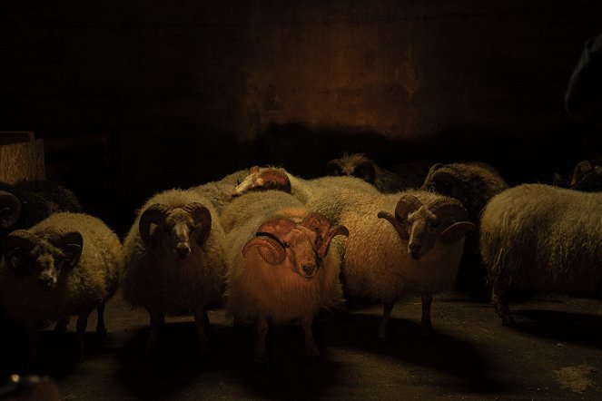 Lamb - De la película