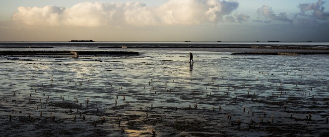 Silence of the Tides - Photos
