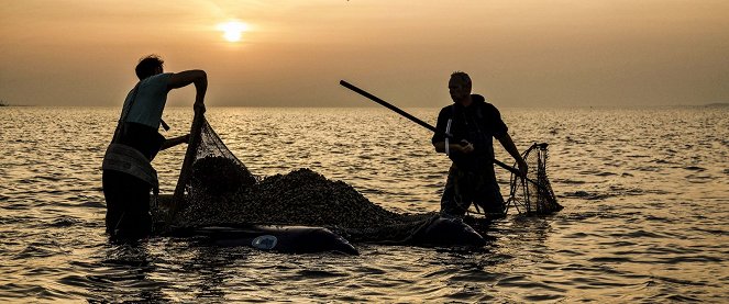 Silence of the Tides - Photos