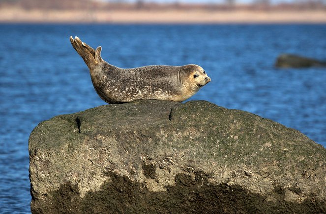 Archipelago New York - Eine Stadt im Meer - Photos