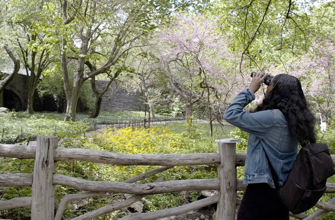 Inselwelt New York - Die Natur kehrt zurück - Filmfotók