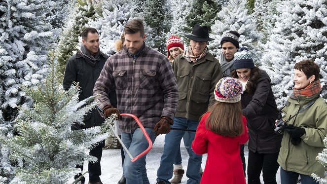 Last Vermont Christmas - De filmes