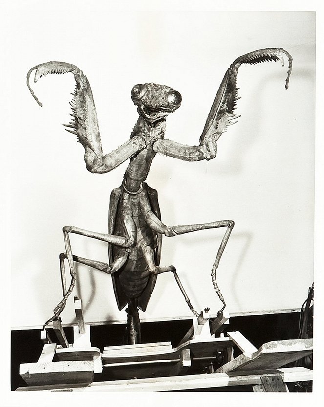 The deadly mantis. El monstruo alado - De la película