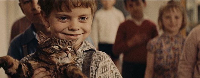 Un día, un gato - De la película