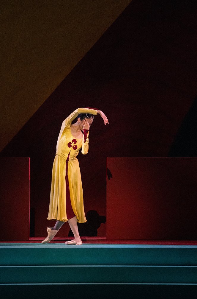 Soirée de ballet à l'Opéra de Paris : Nijinski, Eyal, Ashton - De la película