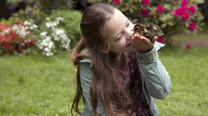 Veterinář vyšetřuje - Der Ring - Z filmu - Maggie Valentina Salomon