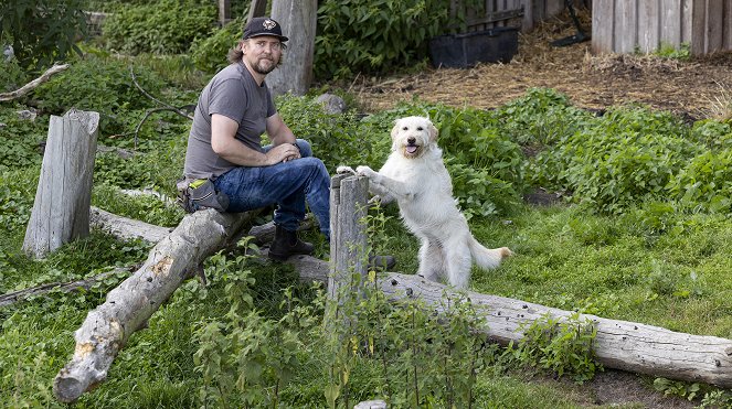 Nord bei Nordwest - Wilde Hunde - Filmfotók