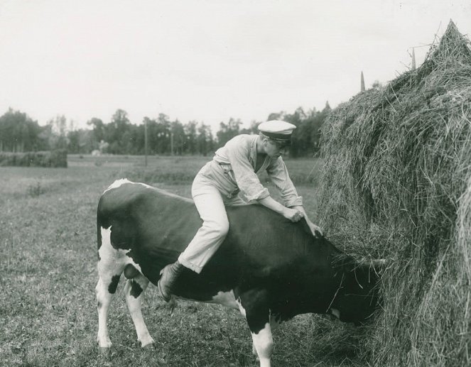 Bomben - Photos - Gösta Ekman