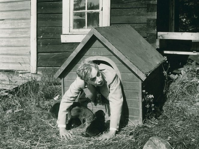 Bomben - Photos - Gösta Ekman