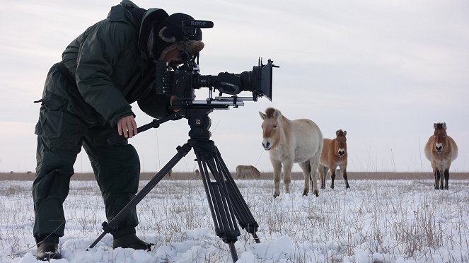 Wild Horses: A Tale from the Puszta - Making of