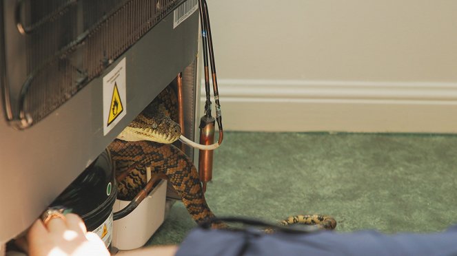 Aussie Snake Wranglers - Van film