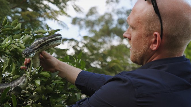 Ausztrál kígyószelídítők - Filmfotók