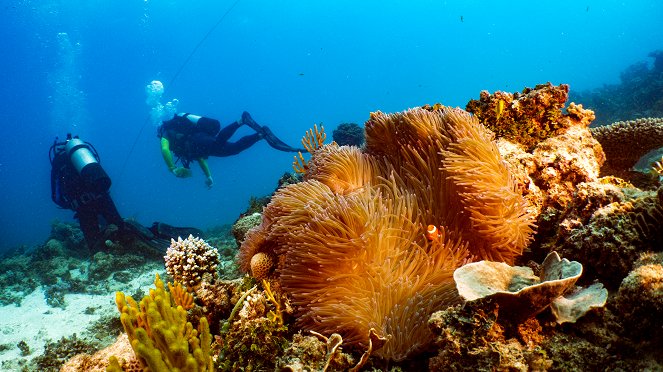 Great Barrier Reef: The Next Generation - Filmfotos
