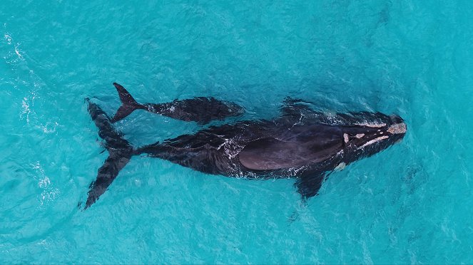 Eye in the Sky: Australia - Photos