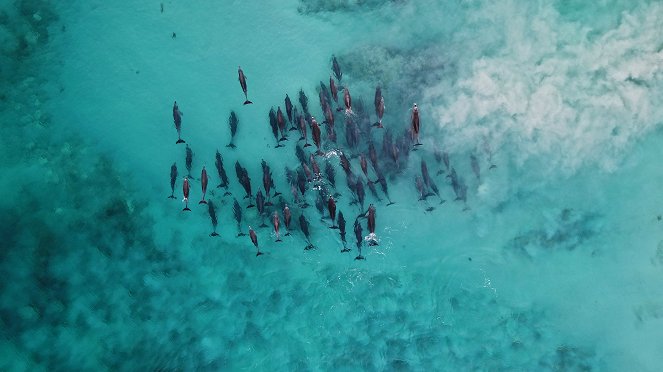 Eye in the Sky: Australia - Photos