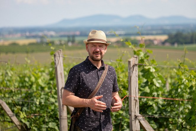 Krajinou vína - Frankovka - kolem Dolních Kounic - Photos - Václav Žmolík