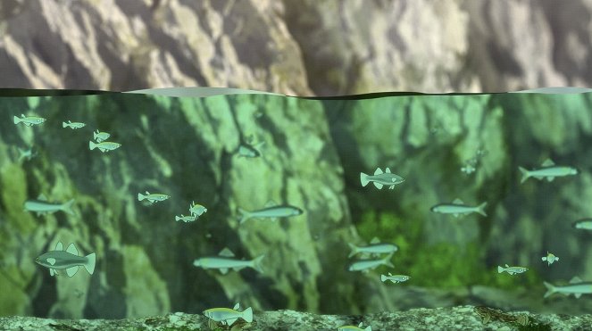 Široi suna no Aquatope - Umi no haruka na Tingaara - De la película