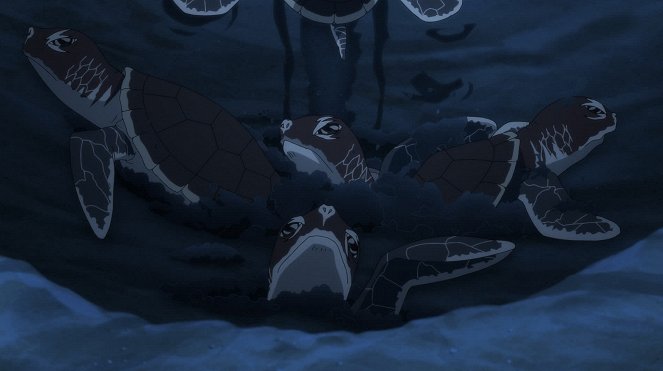 Široi suna no Aquatope - Le Rêve d'une tortue bleue - Film