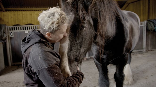 Clydesdale: Saving the Greatest Horse - De la película