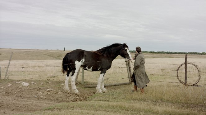 Clydesdale: Saving the Greatest Horse - Filmfotos