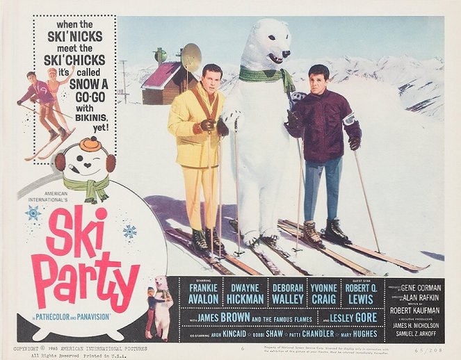 Ski Party - Lobbykarten