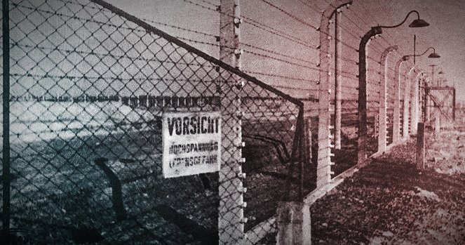 Krieg und Holocaust - Der deutsche Abgrund - Tor zur Hölle 1941–1942 - Van film