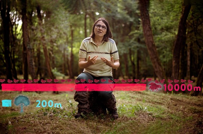 42 – Die Antwort auf fast alles - Wie retten wir die Bäume? - Filmfotos
