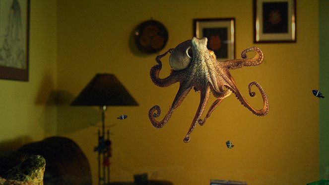 The Natural World - The Octopus in My House - Z filmu