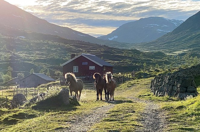Mittsommer in Norwegen - Photos