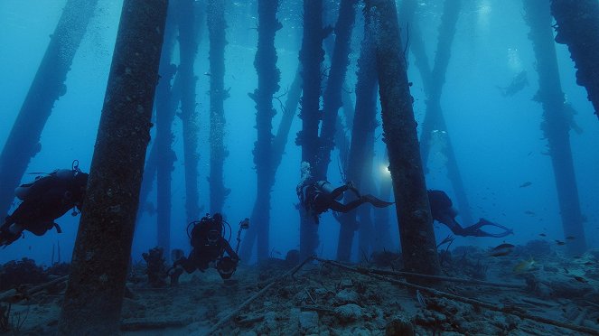 Roncsok a víz alatt - Filmfotók
