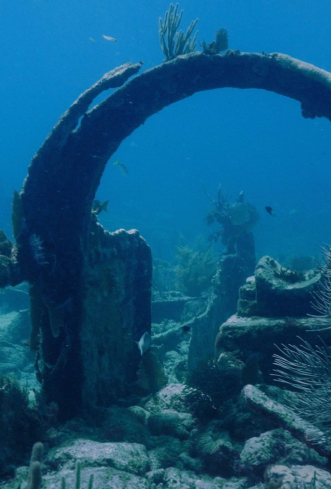 Reef Wrecks - Filmfotos