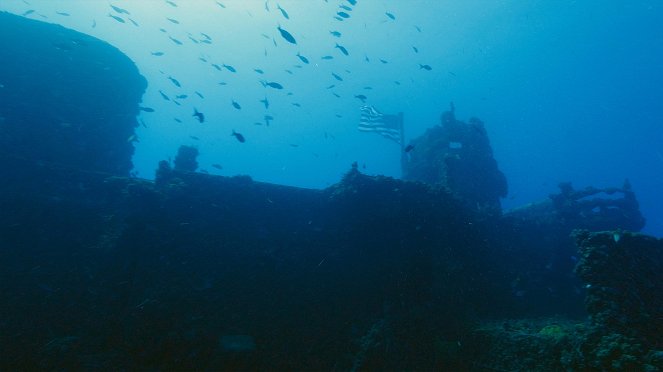 Reef Wrecks - Do filme