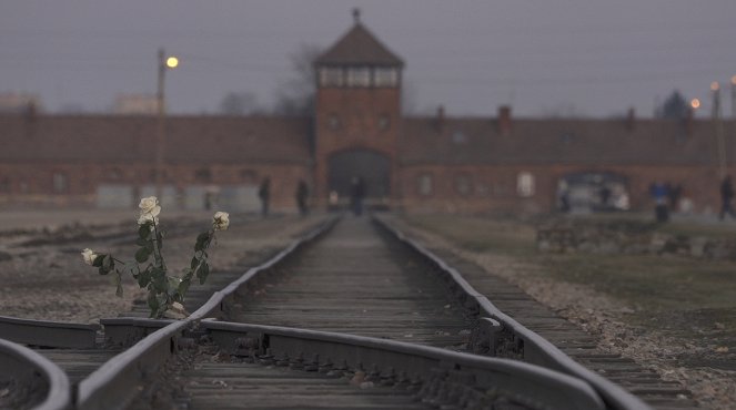 Inferno: Letters from Auschwitz - Van film
