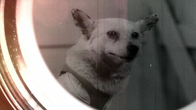 Собаки в Космосе - Filmfotos