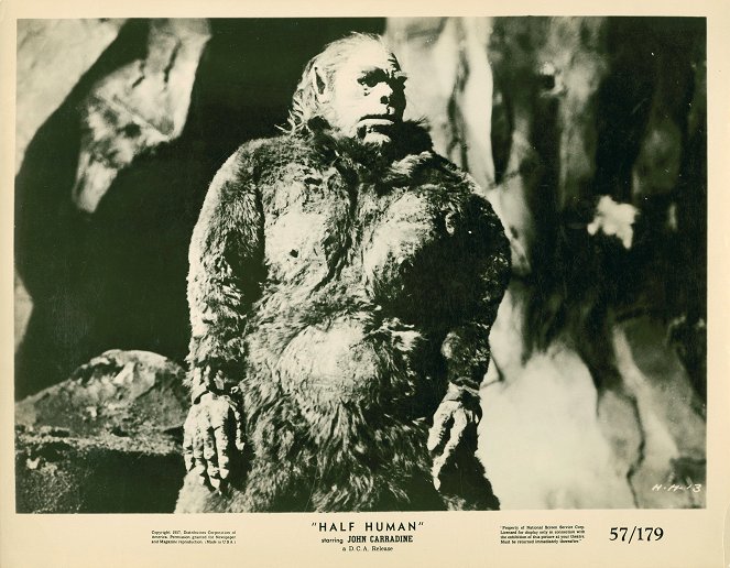 L'abominable homme des neiges - Cartes de lobby