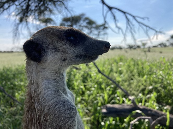 Szurikáták udvarháza: a dinasztia felemelkedése - Filmfotók