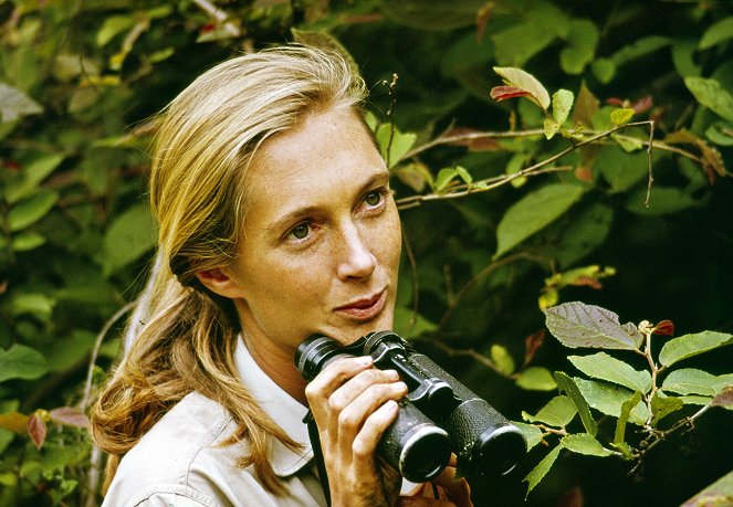 Icons - De la película - Jane Goodall